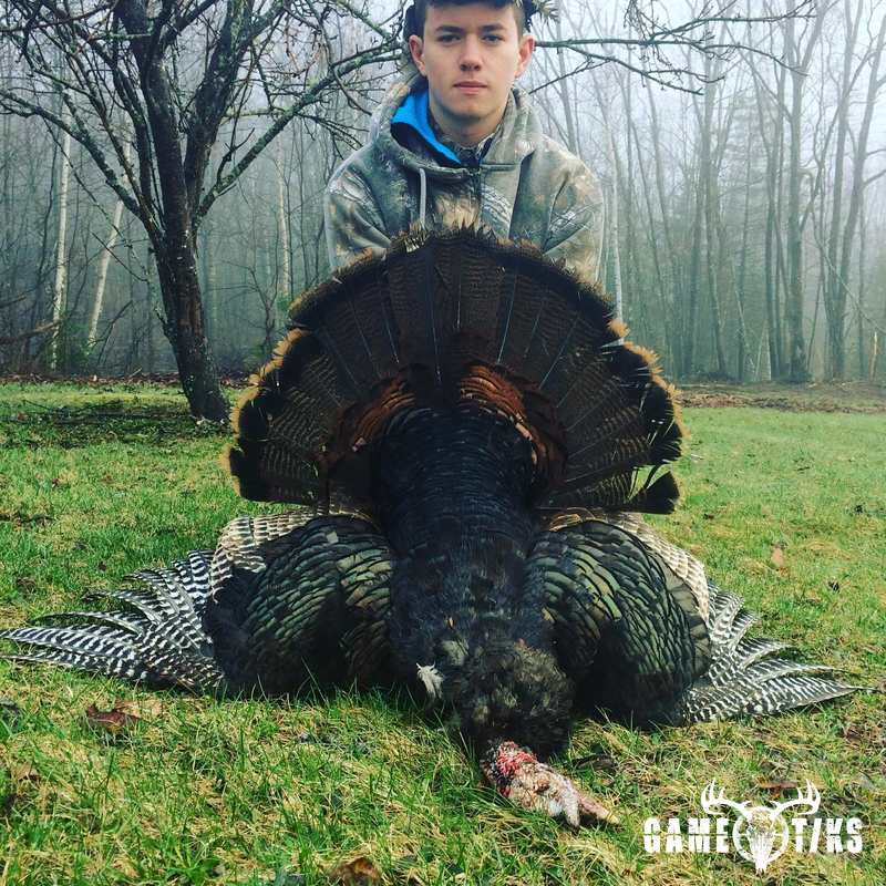 turkey harvest by Nathaniel R Porter