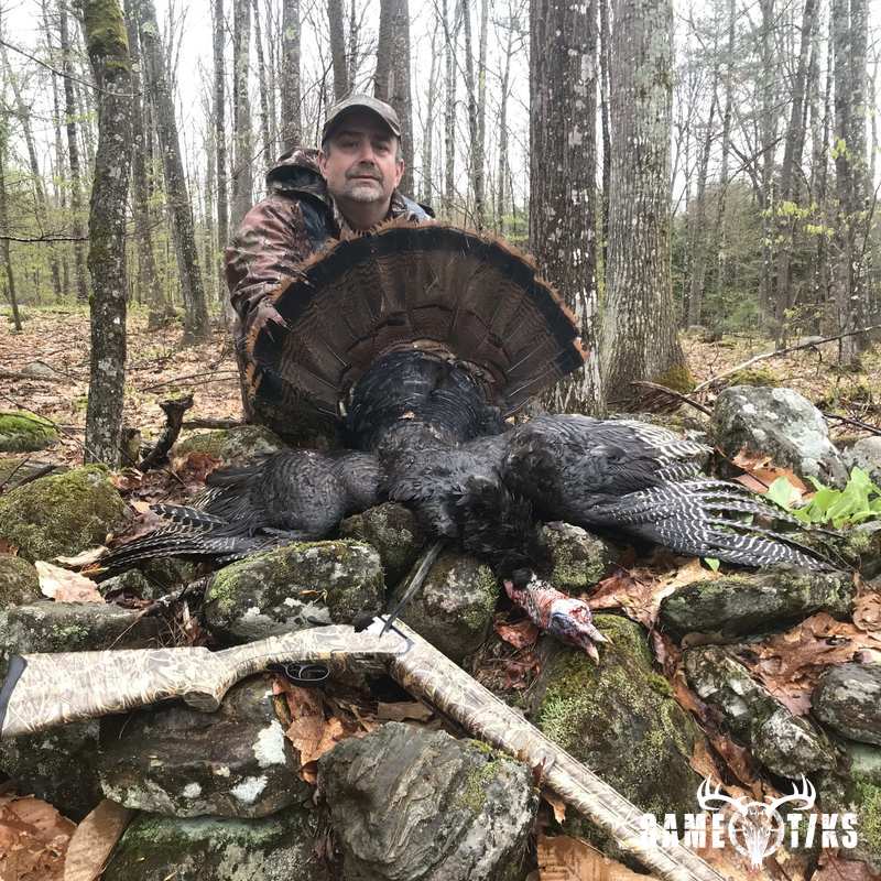 turkey harvest by Maine Experience Guide Service