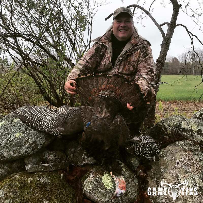 turkey harvest by Maine Experience Guide Service