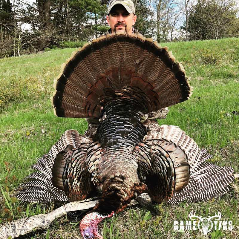 turkey harvest by Maine Experience Guide Service