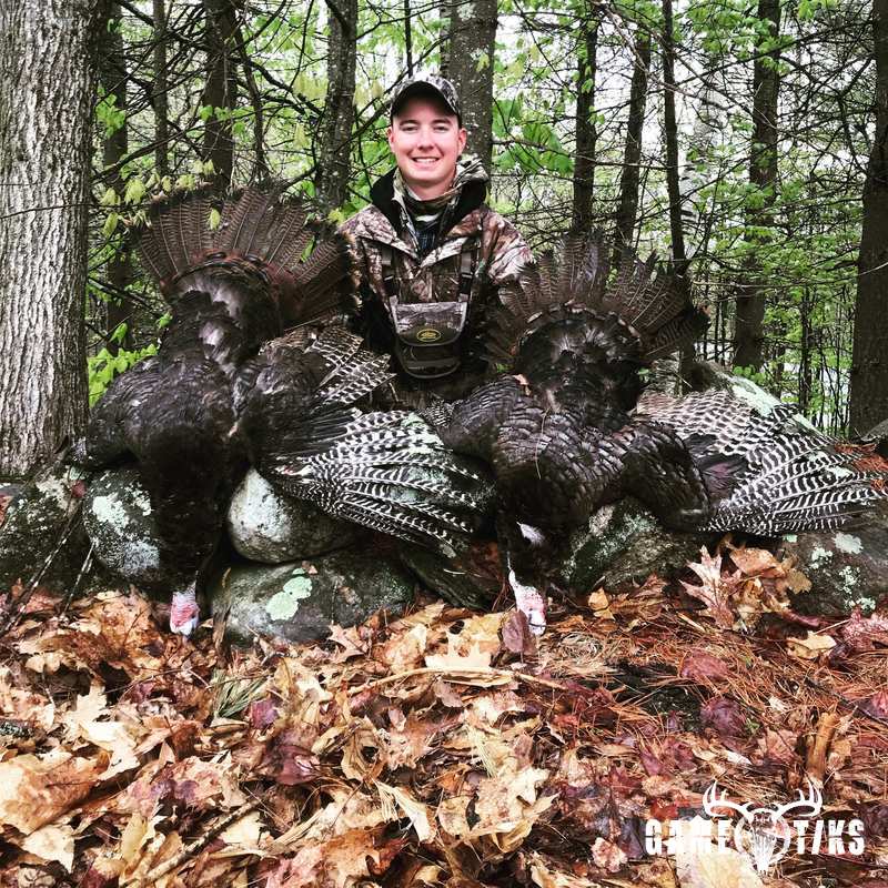 turkey harvest by Maine Experience Guide Service