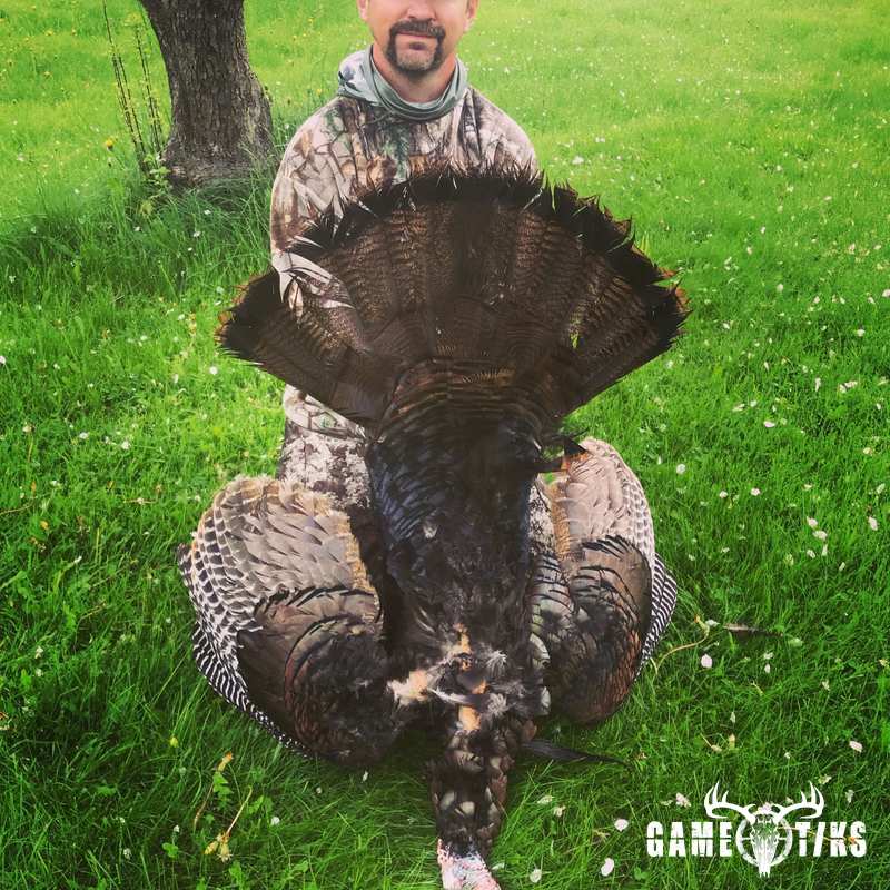turkey harvest by Maine Experience Guide Service