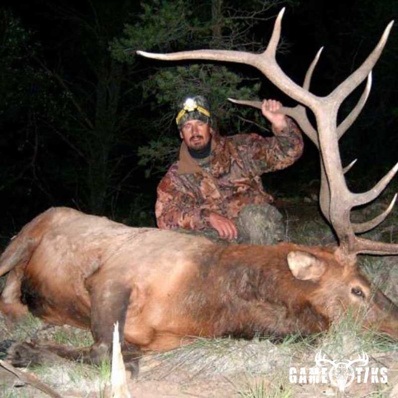 elk harvest by Black Mountain Hunts LLC