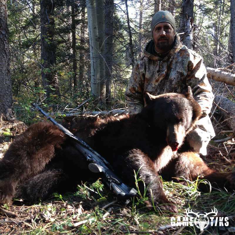 bear harvest by Black Mountain Hunts LLC