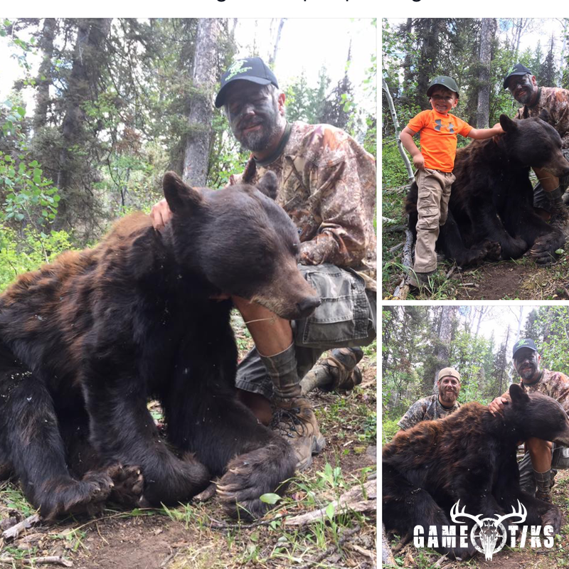 bear harvest by Black Mountain Hunts LLC