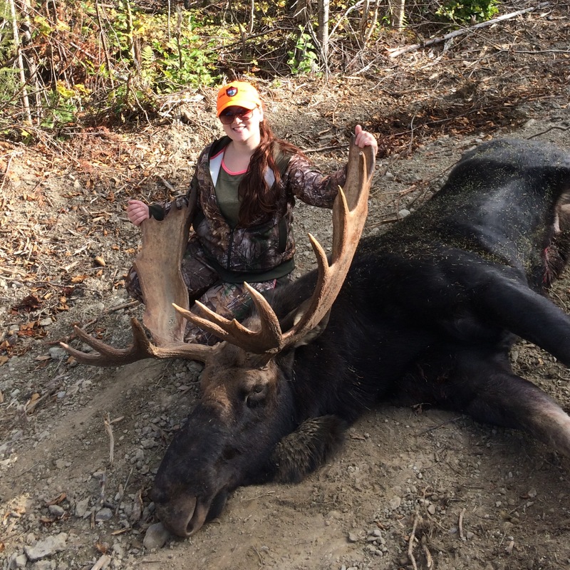 moose harvest by Megan Gitschier