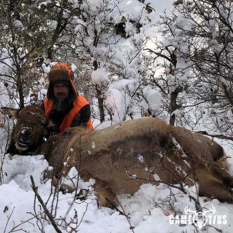 elk harvest by Black Mountain Hunts LLC