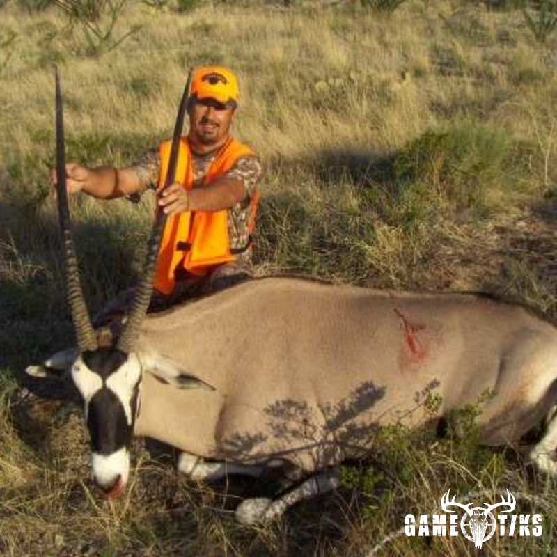 miscellaneous harvest by Black Mountain Hunts LLC