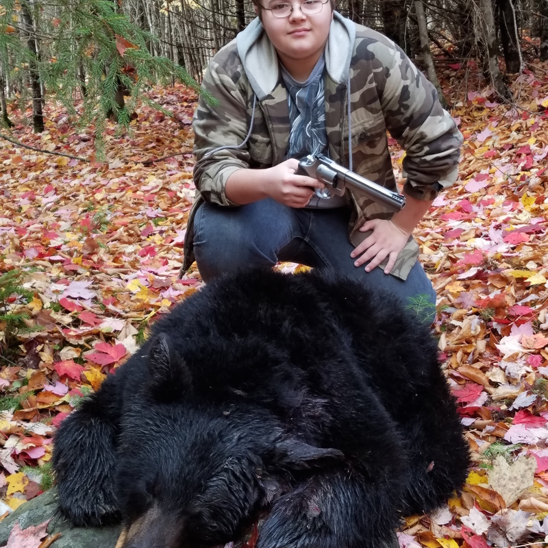 bear harvest by Craig Moody