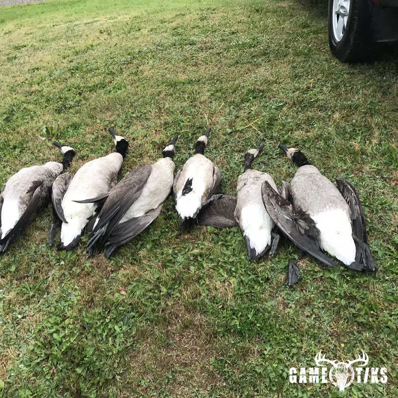 waterfowl harvest by John Walsh