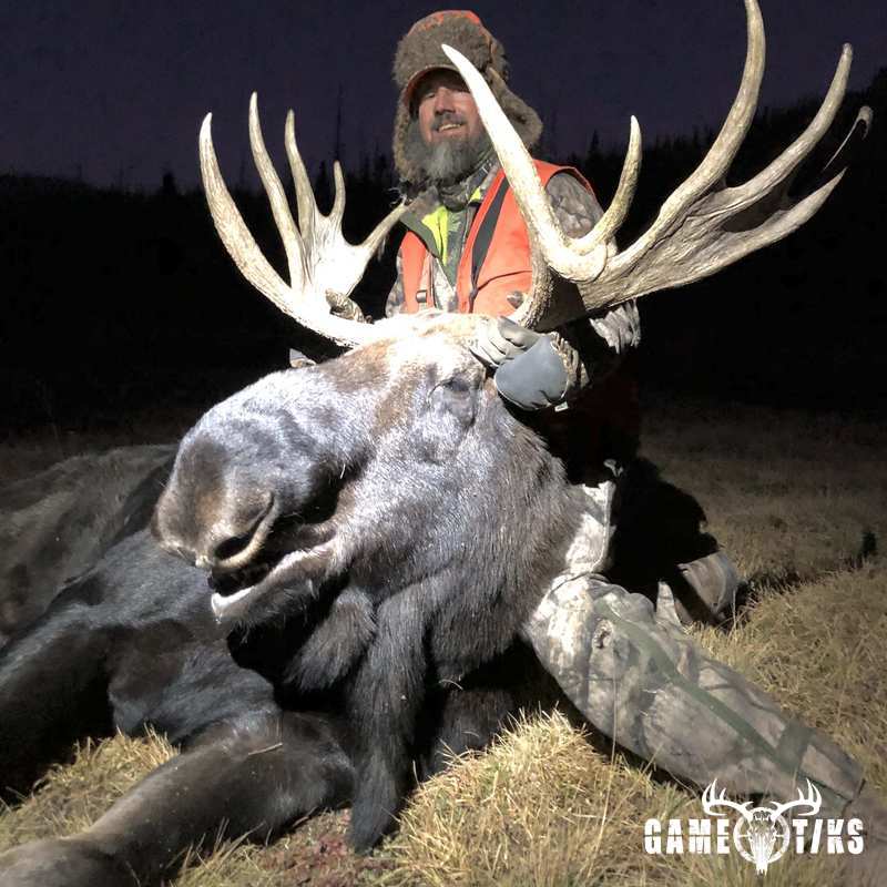 moose harvest by Black Mountain Hunts LLC