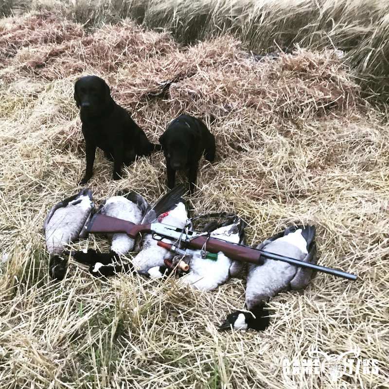 waterfowl harvest by Maine Experience Guide Service