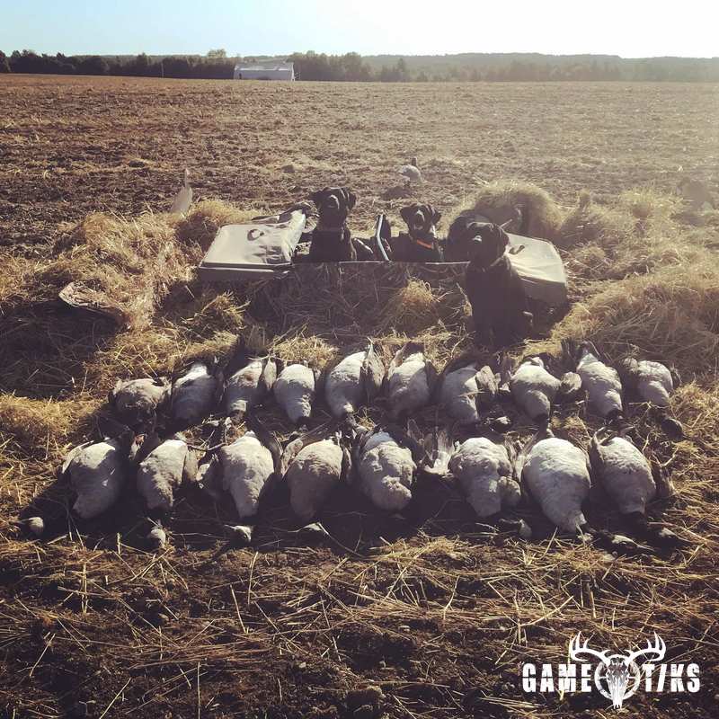 waterfowl harvest by Maine Experience Guide Service