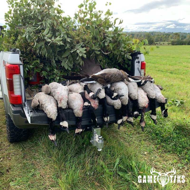 waterfowl harvest by Maine Experience Guide Service
