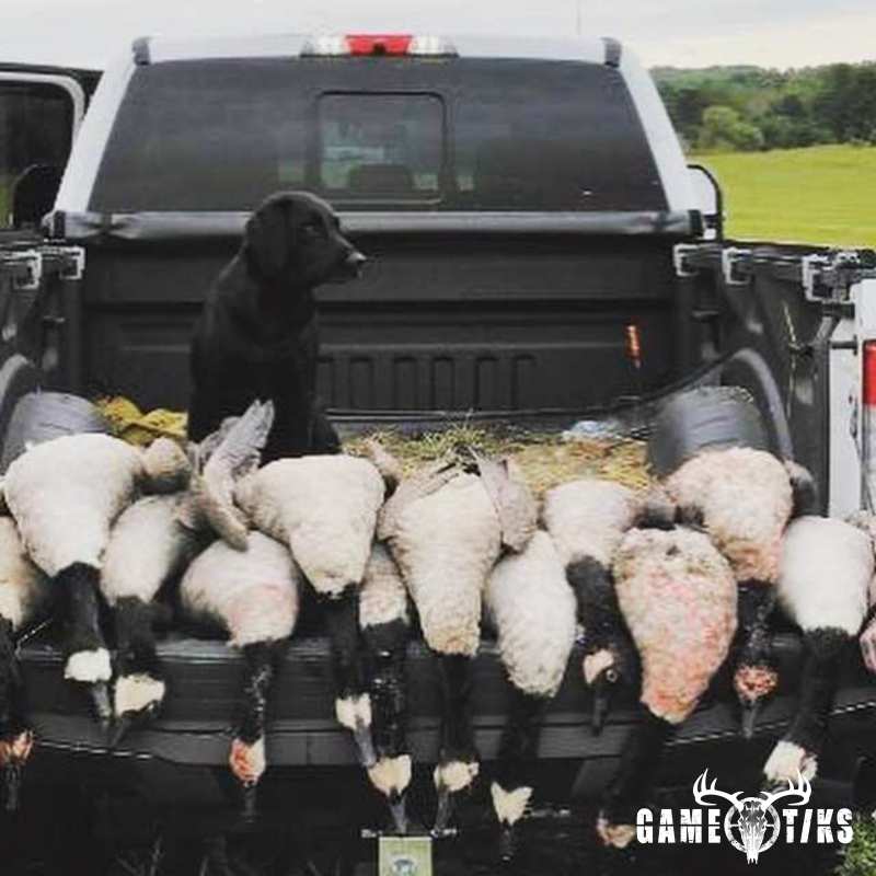 waterfowl harvest by Maine Experience Guide Service