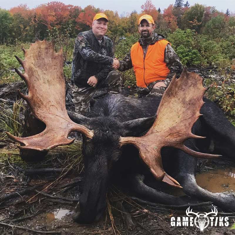 moose harvest by Maine Experience Guide Service