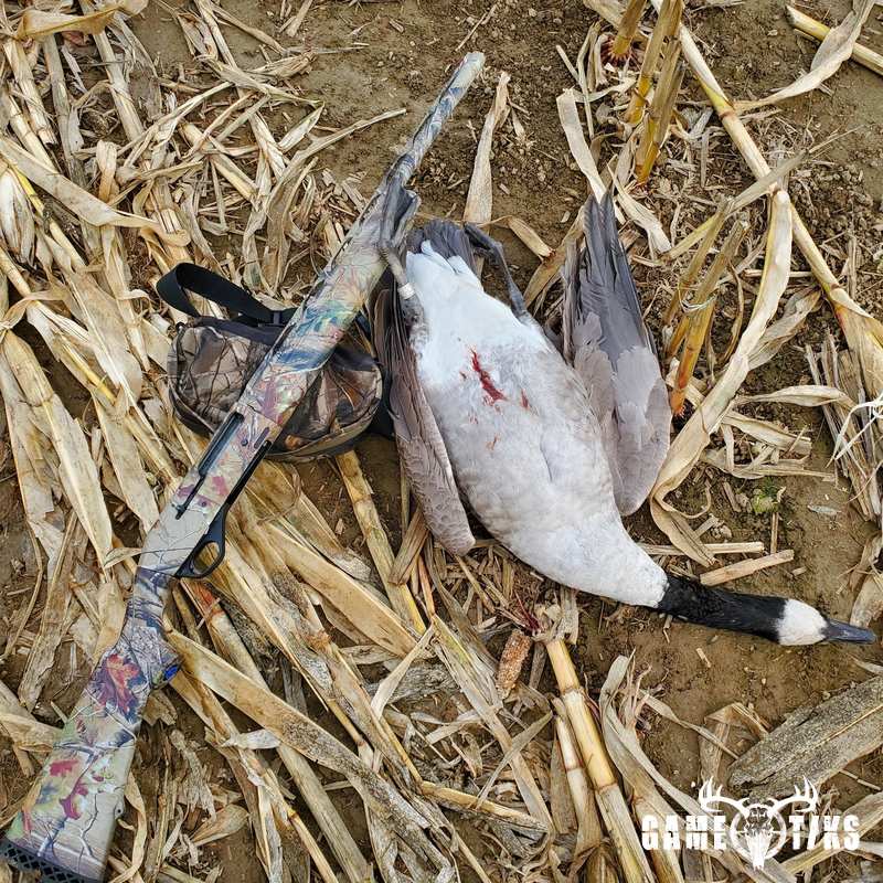 waterfowl harvest by Brian Lunt
