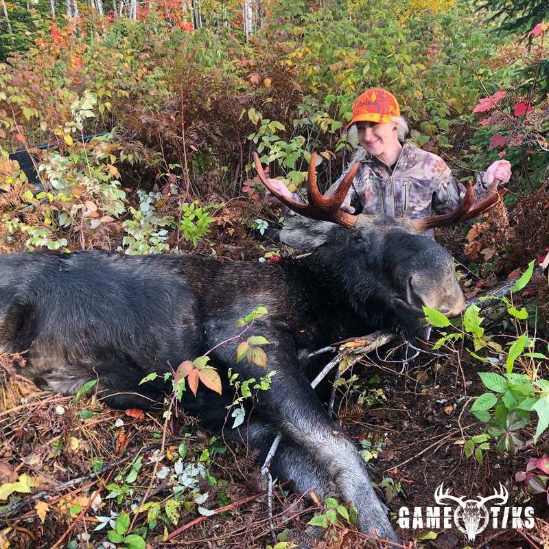 moose harvest by Stephanie Schaffer