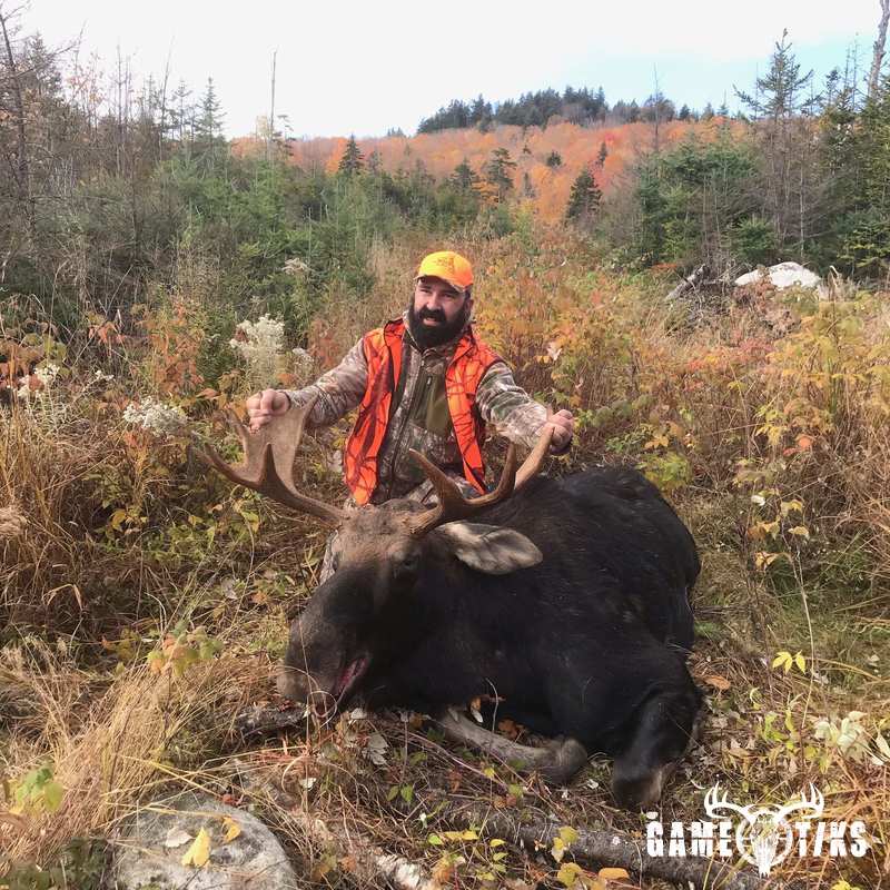 moose harvest by Operation ReBoot Outdoors