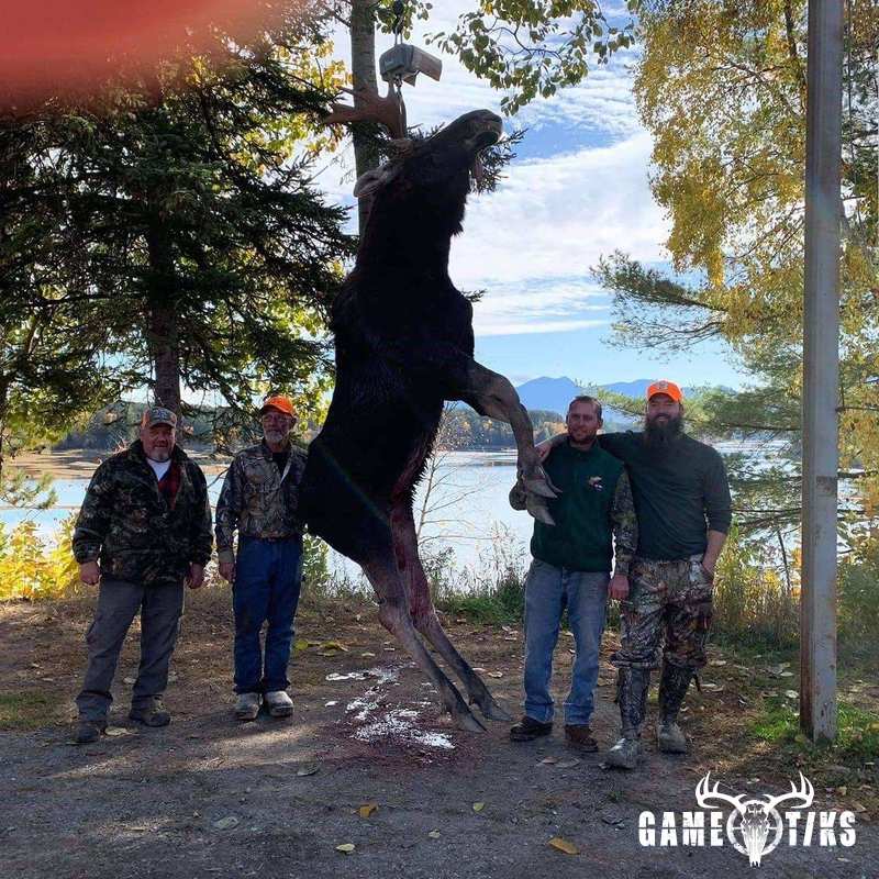 moose harvest by Operation ReBoot Outdoors