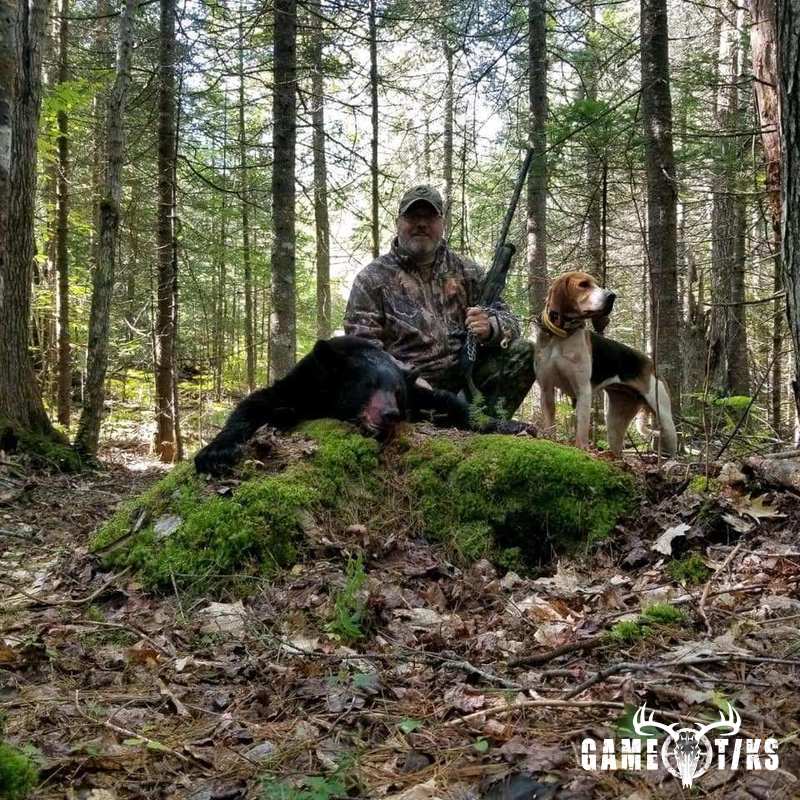 bear harvest by Operation ReBoot Outdoors