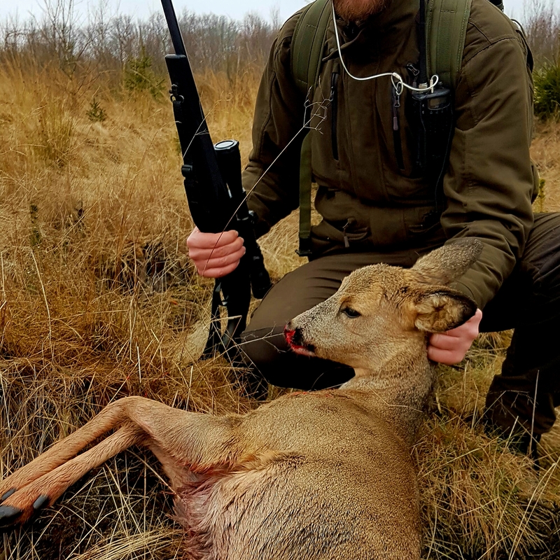deer harvest by Bjorn ThreeCrownWildlife