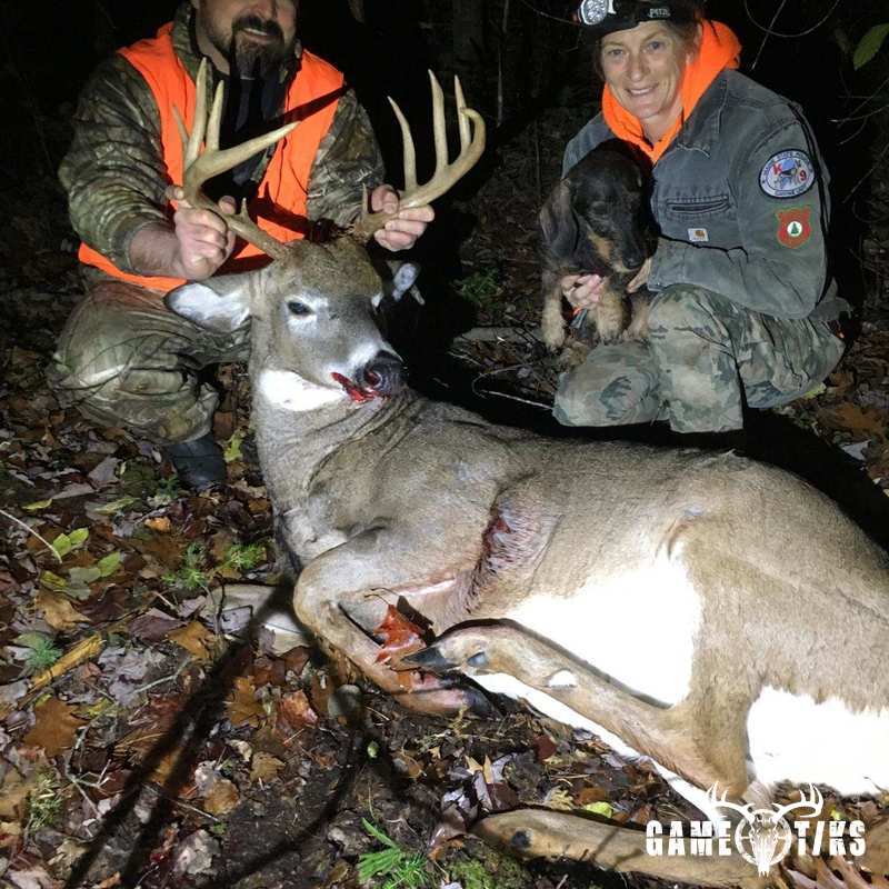 deer harvest by Alan Blood