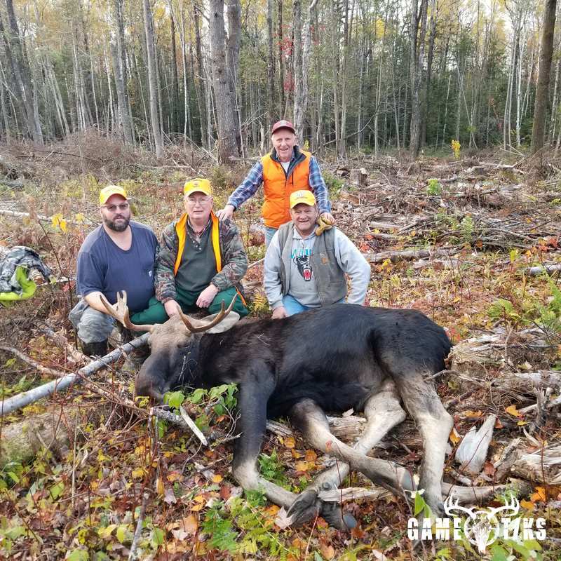 moose harvest by Spencer Seekins