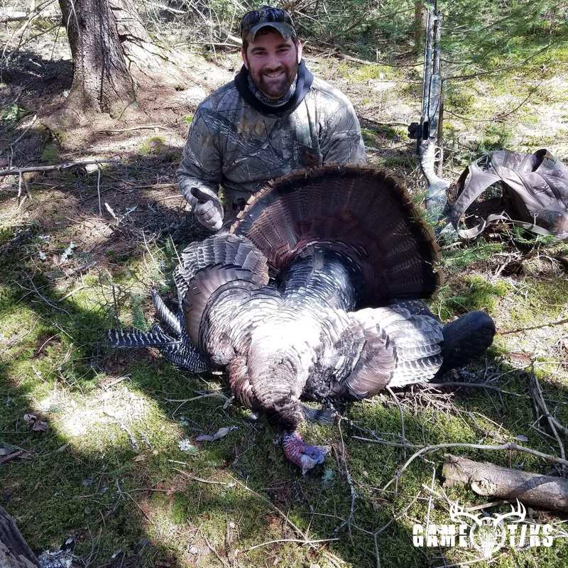 turkey harvest by Ricky