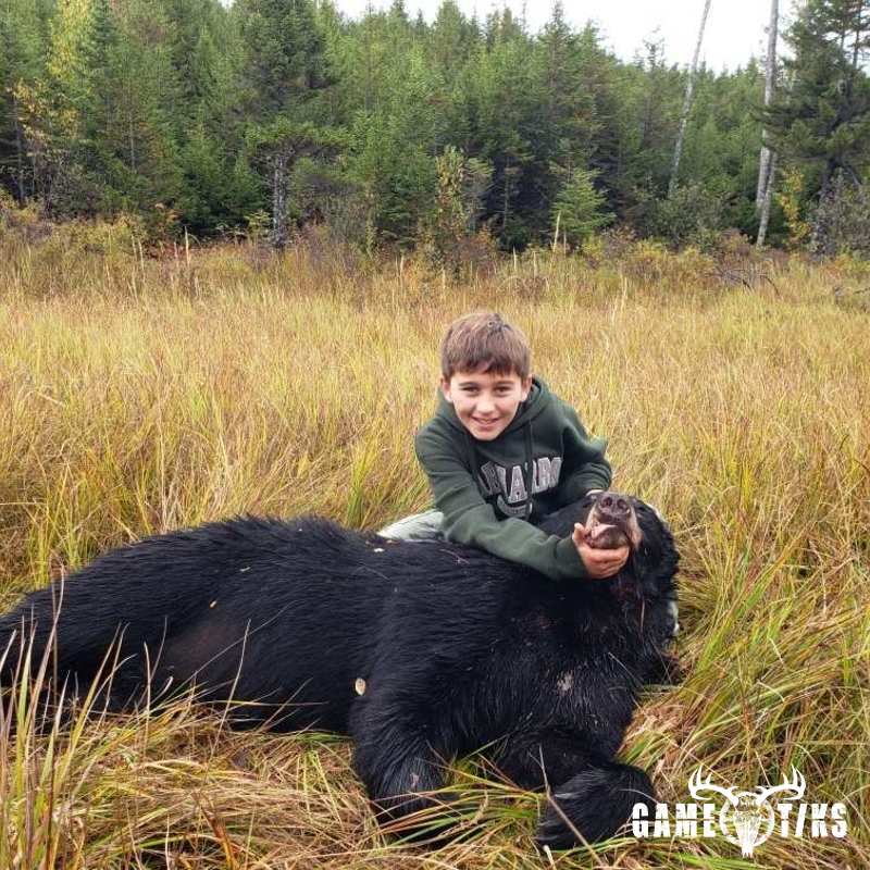 bear harvest by Senneterre Outfitters