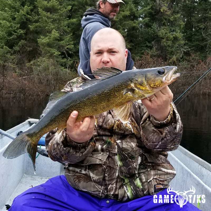 fish harvest by Senneterre Outfitters
