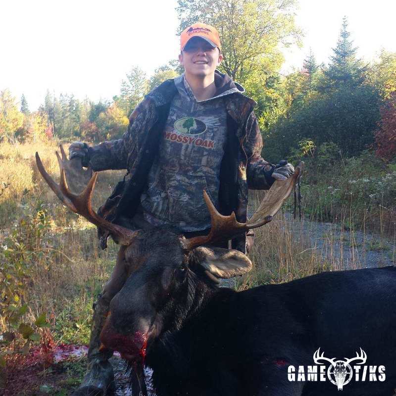 moose harvest by Senneterre Outfitters
