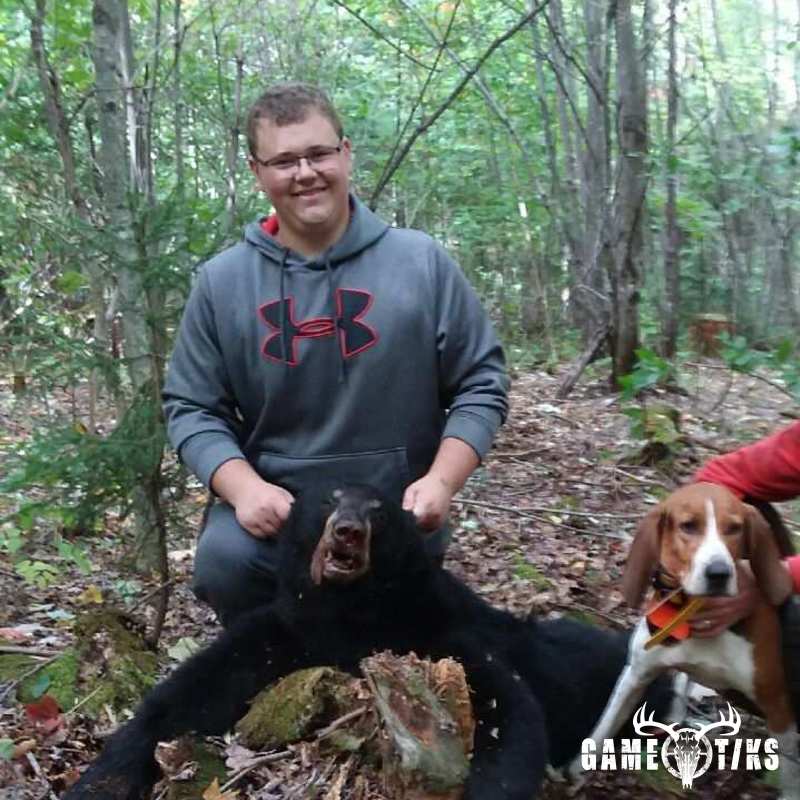 bear harvest by Senneterre Outfitters