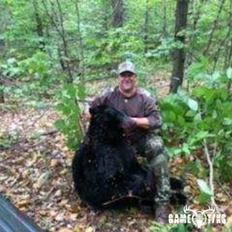 bear harvest by Senneterre Outfitters