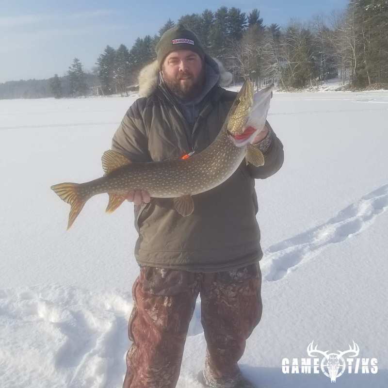 fish harvest by Senneterre Outfitters