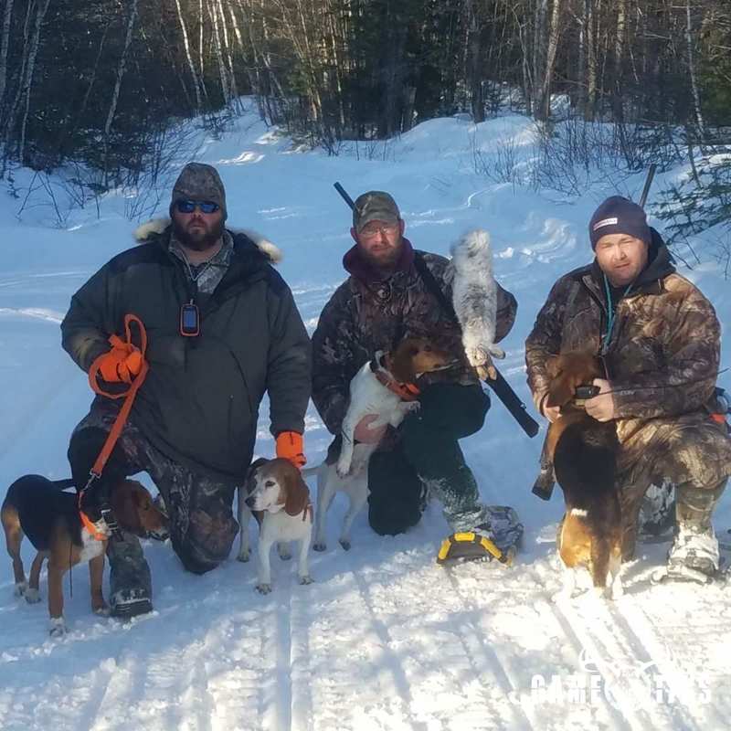 canine harvest by Senneterre Outfitters