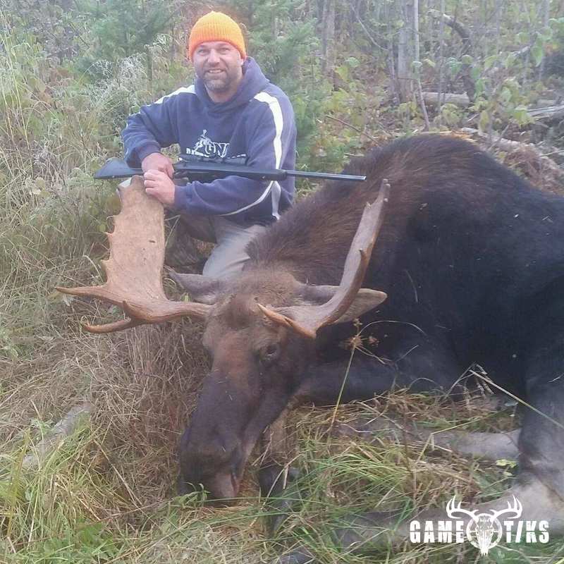 moose harvest by Senneterre Outfitters