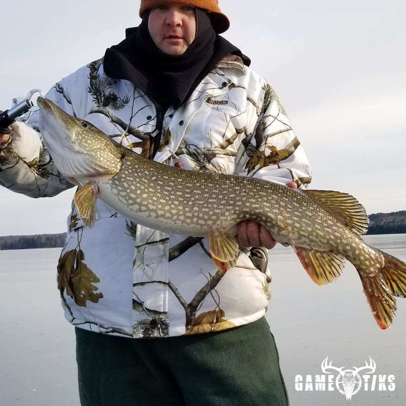 fish harvest by Senneterre Outfitters