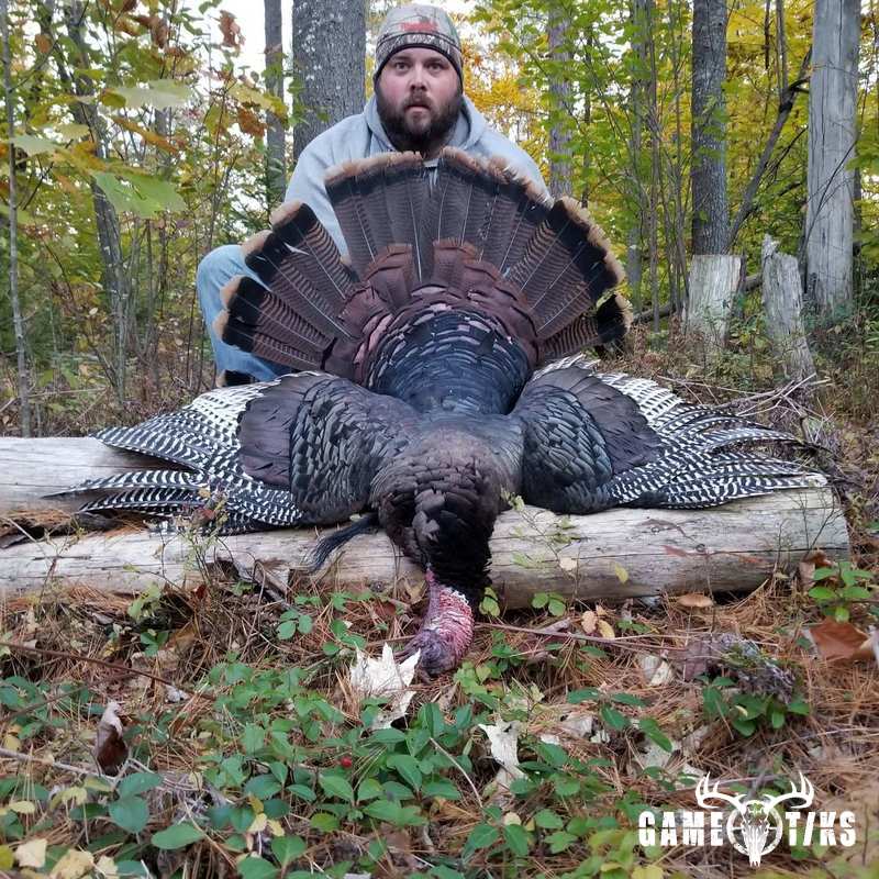 turkey harvest by Senneterre Outfitters