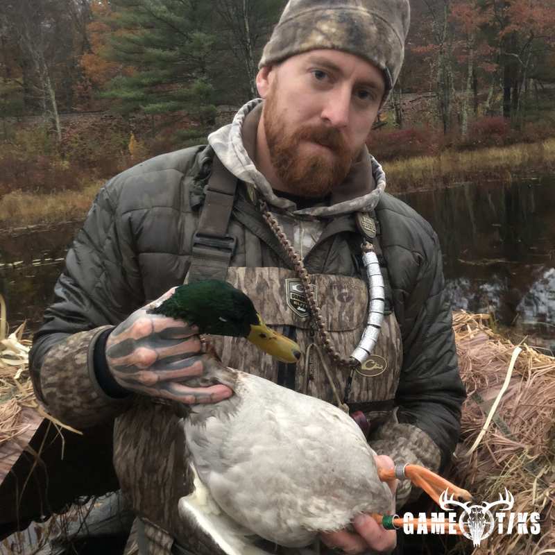 waterfowl harvest by Maine Experience Guide Service