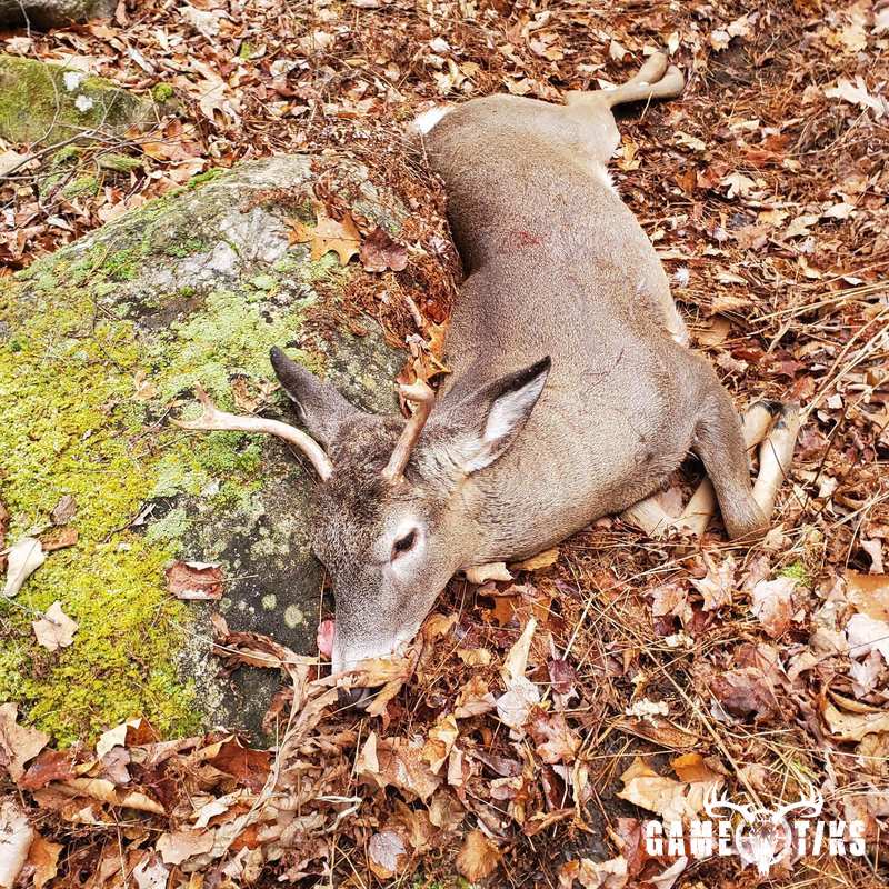 deer harvest by Operation ReBoot Outdoors