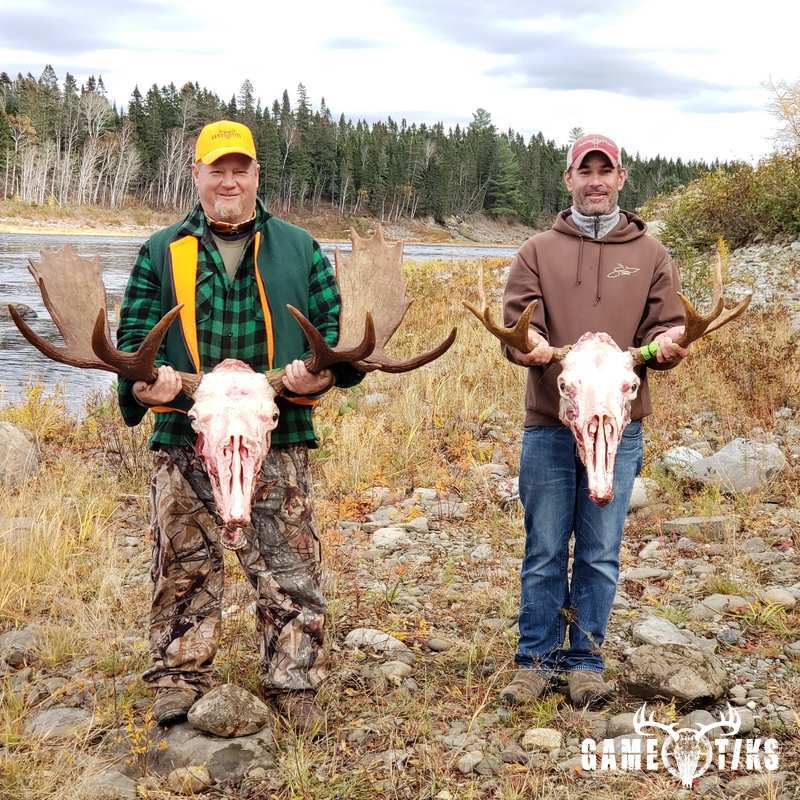moose harvest by Andrew gibbs