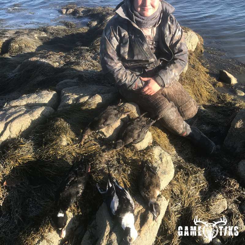 waterfowl harvest by Maine Experience Guide Service