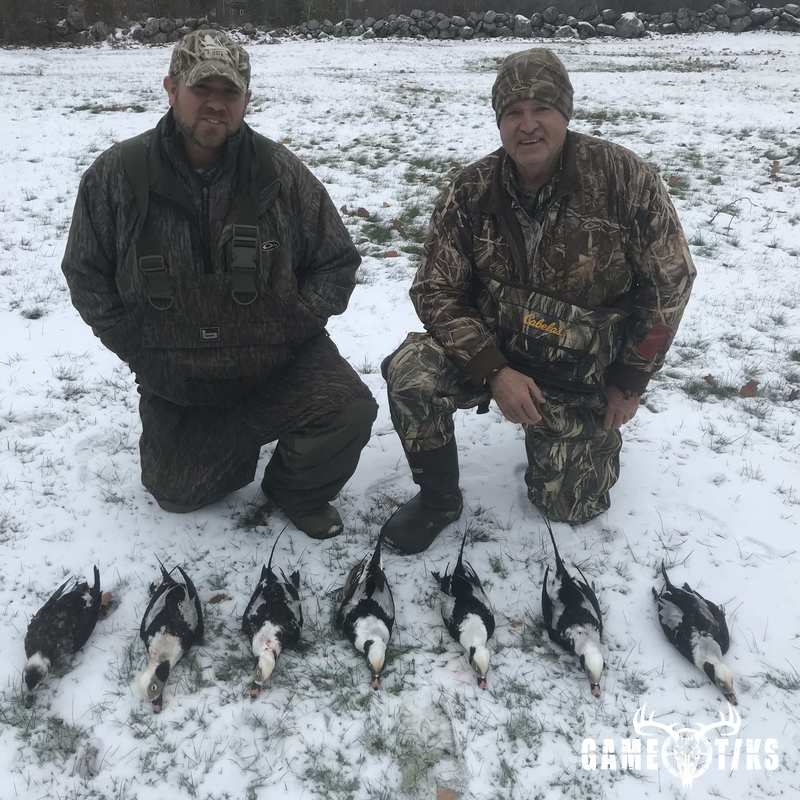 waterfowl harvest by Maine Experience Guide Service