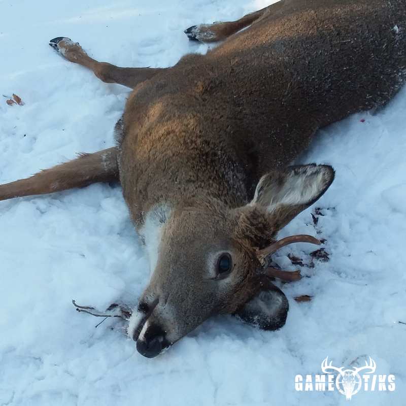 deer harvest by Allen Weaver Sr.