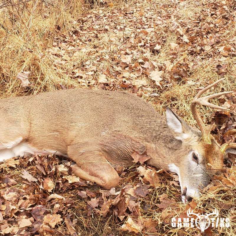 deer harvest by Jonathan Varnum