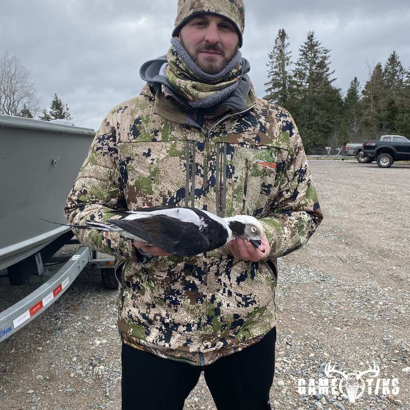 waterfowl harvest by Bold Coast Outfitters