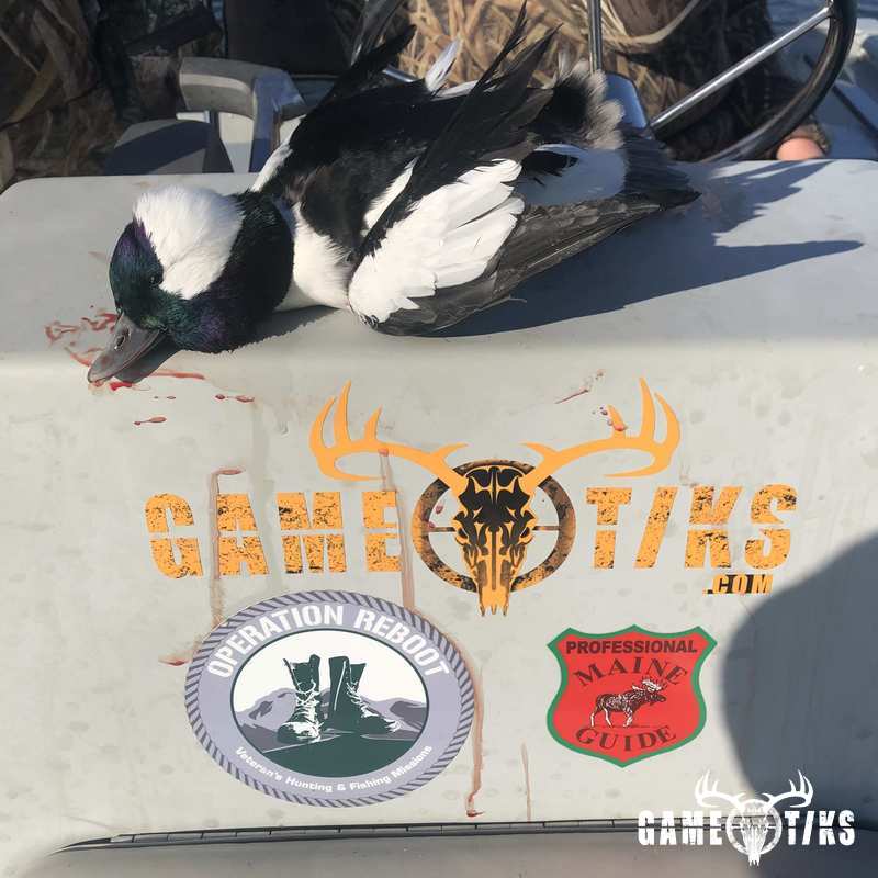 waterfowl harvest by Brody Gibbs