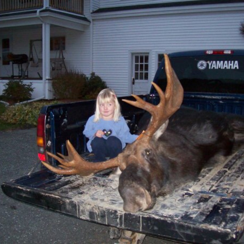 moose harvest by Joshua Lastname
