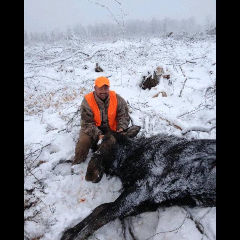 moose harvest by Joshua Lastname